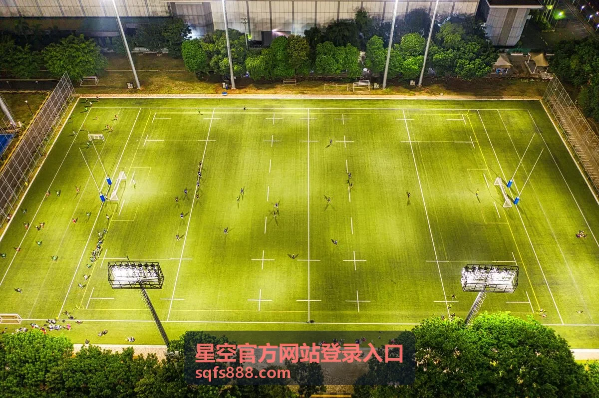 星空官方网站登录入口账号安全自查内容封面